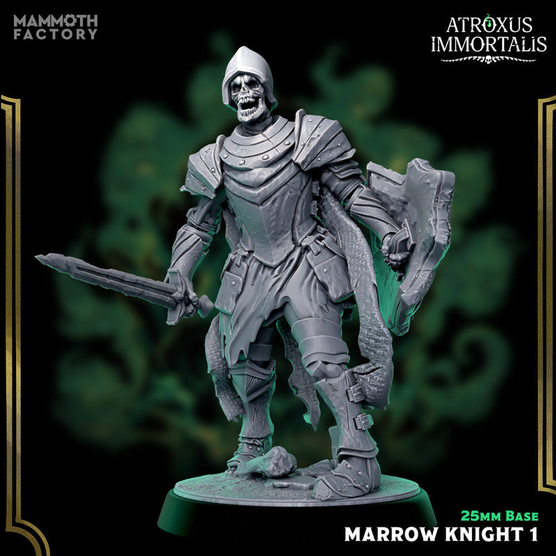Marrow Knight Swordsmen – Undead Draugr Skeletal Soldier Miniatures