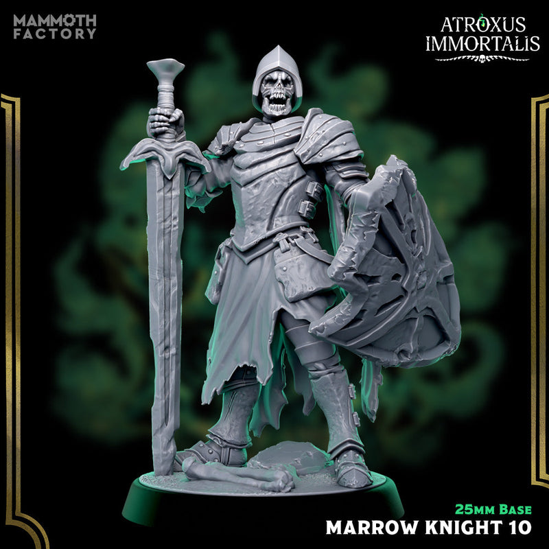 Marrow Knight Swordsmen – Undead Draugr Skeletal Soldier Miniatures