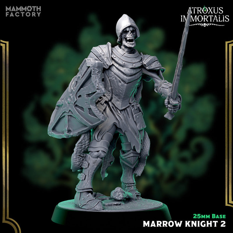 Marrow Knight Swordsmen – Undead Draugr Skeletal Soldier Miniatures