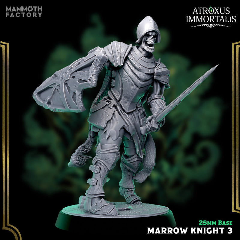 Marrow Knight Swordsmen – Undead Draugr Skeletal Soldier Miniatures