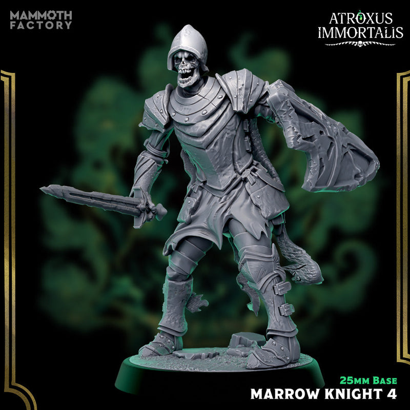 Marrow Knight Swordsmen – Undead Draugr Skeletal Soldier Miniatures