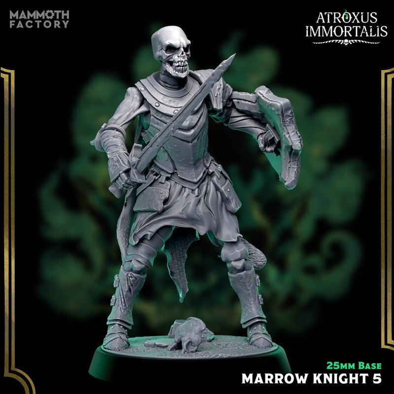 Marrow Knight Swordsmen – Undead Draugr Skeletal Soldier Miniatures