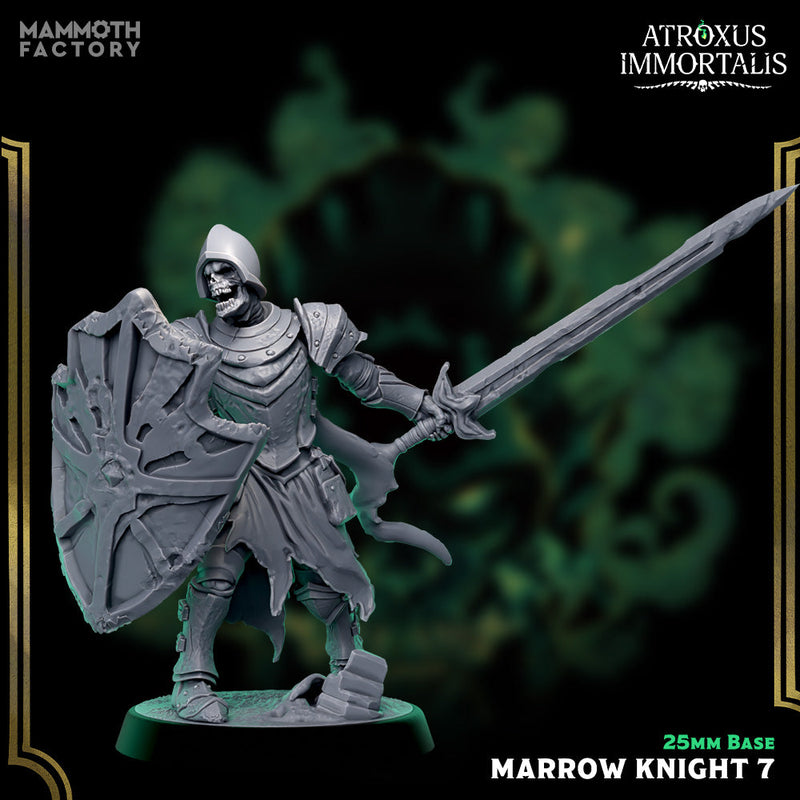 Marrow Knight Swordsmen – Undead Draugr Skeletal Soldier Miniatures