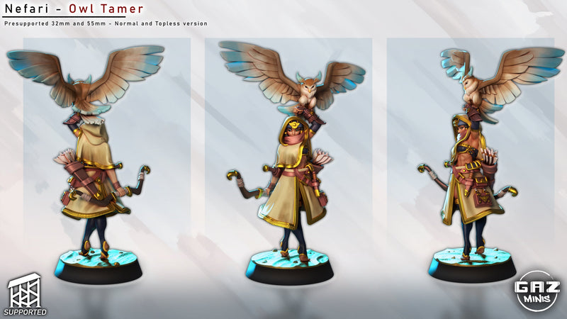 Nefari - Owl Tamer (SFW/NSFW 18+)