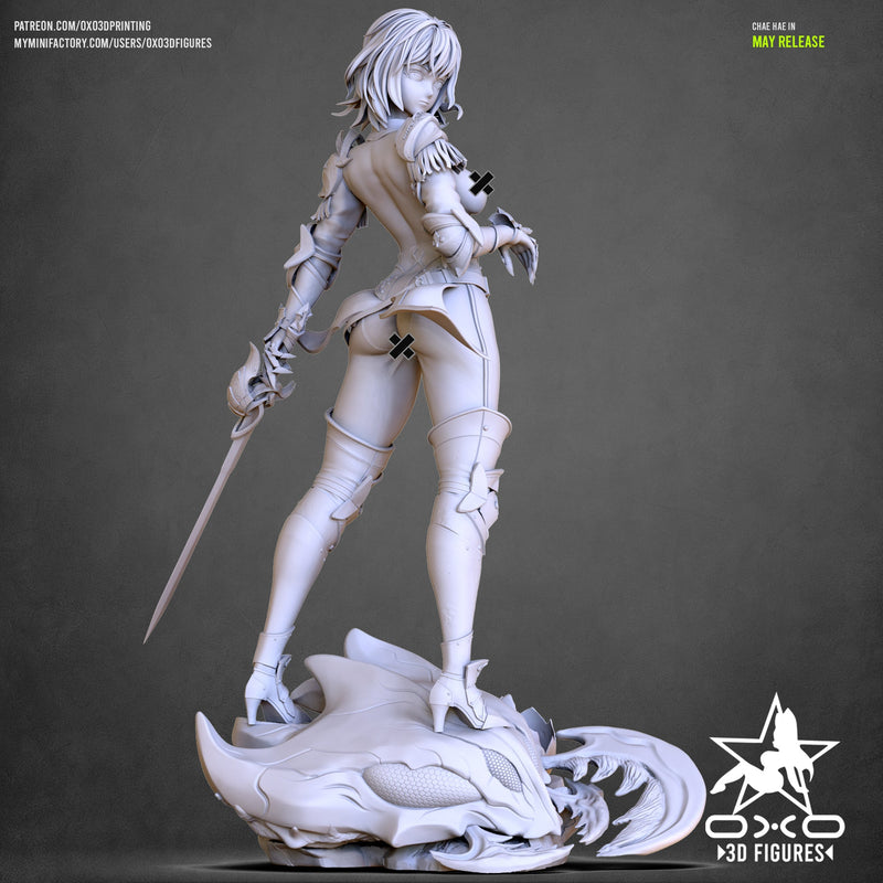 Cha Hae-In - Solo Leveling  (SFW/NSFW 18+) - 1:10 Scale