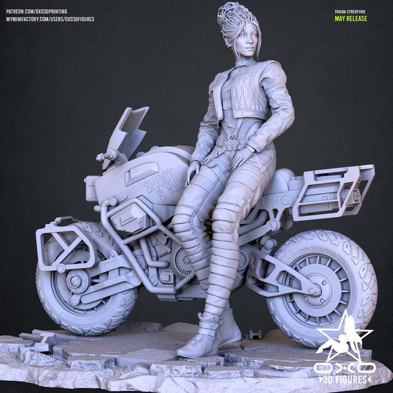 Panam Palmer - Cyberpunk 2077 (SFW/NSFW 18+ ONLY) - 1:10 Scale