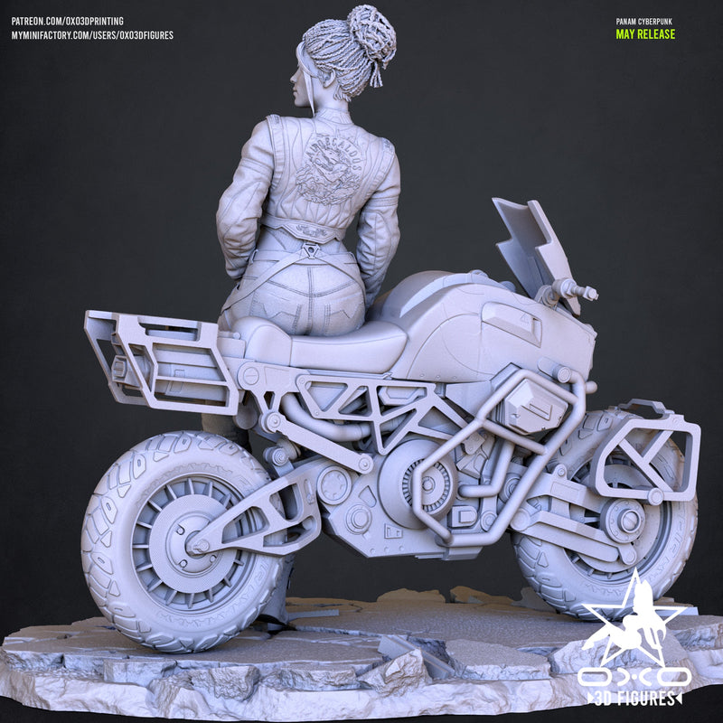Panam Palmer - Cyberpunk 2077 (SFW/NSFW 18+ ONLY) - 1:10 Scale