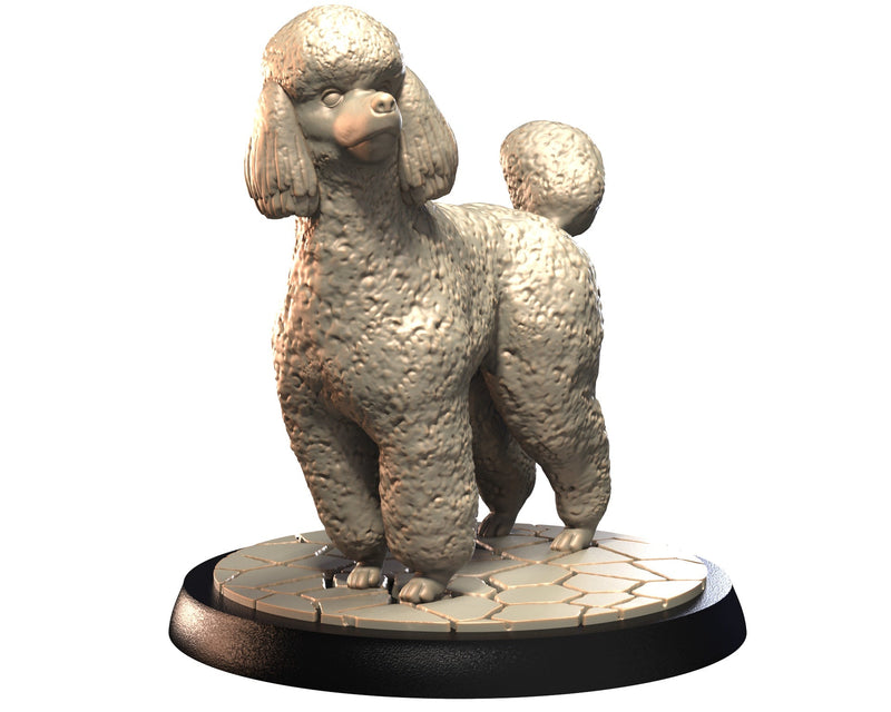 Dog Companions Vol. 1, Part 3