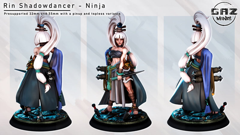 Rin Shadowdancer - Ninja (SFW/NSFW 18+)