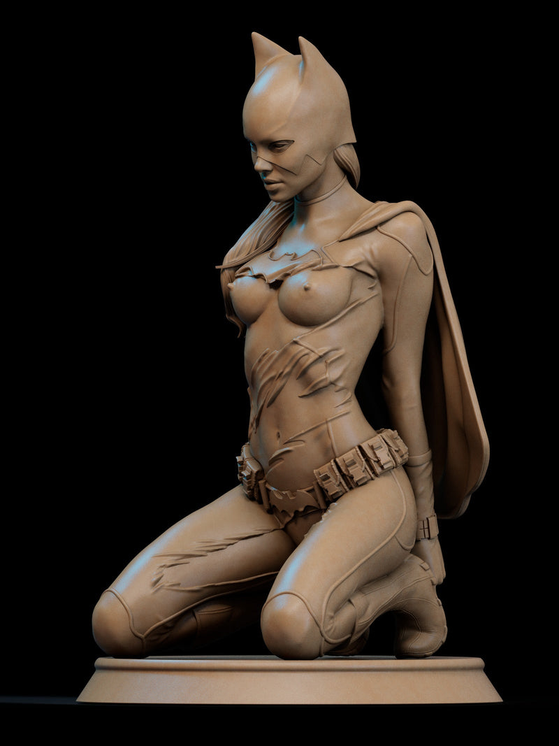 Batgirl - DC Comics (SFW/NSFW 18+ Only) - 1:6, 1:9 Scale Figures & Bust