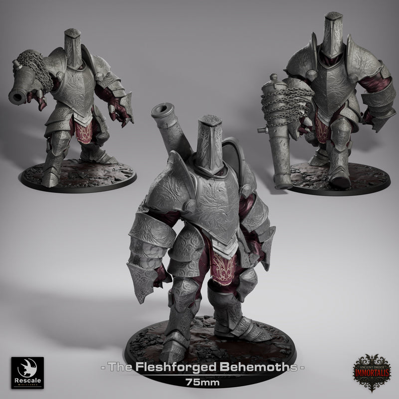Fleshforged Behemoth – Armor-Flesh Golem Hybrid – Miniature