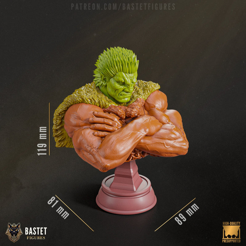 Zodd - Berserk - 1:8 Scale Figure & Bust