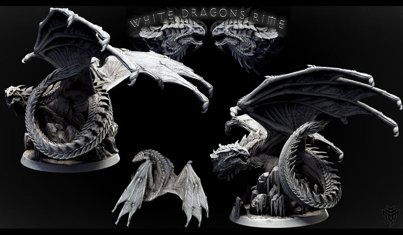 Adolescent White Dragon