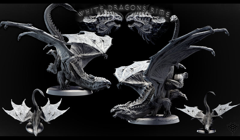 Adolescent White Dragon