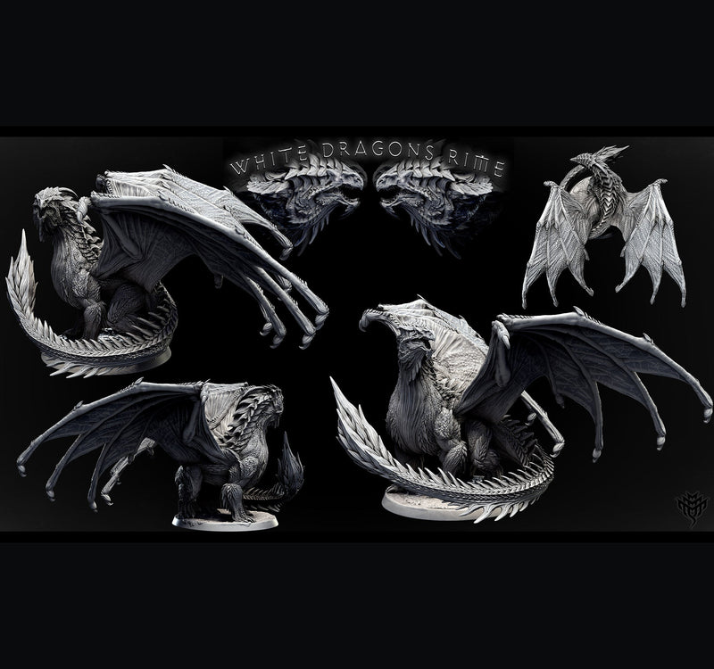 Adult White Dragon