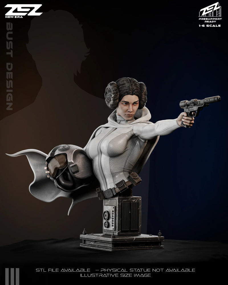 Princess Leia - SW - 1:6 Scale & Bust