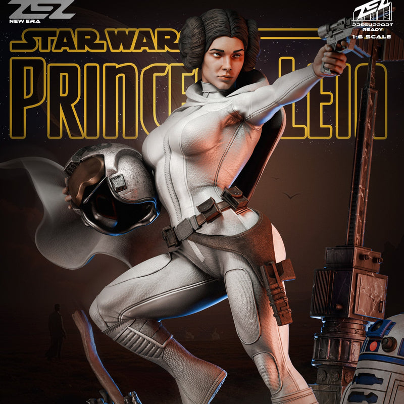 Princess Leia - SW - 1:6 Scale & Bust