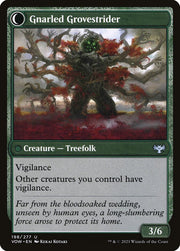 Dormant Grove (Back)
