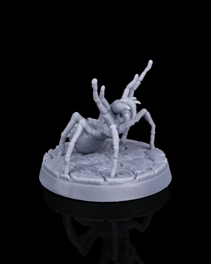 Huntsman Spider – Giant Spider – Beldrad's Bag of Beasts – Beast Miniature