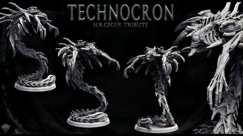 Neomorph Gliders