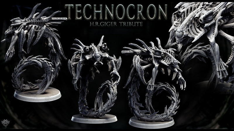 Neomorph Gliders