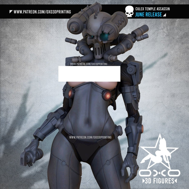 Culex - Lovemace - (SFW/NSFW 18+) 1:10 Scale