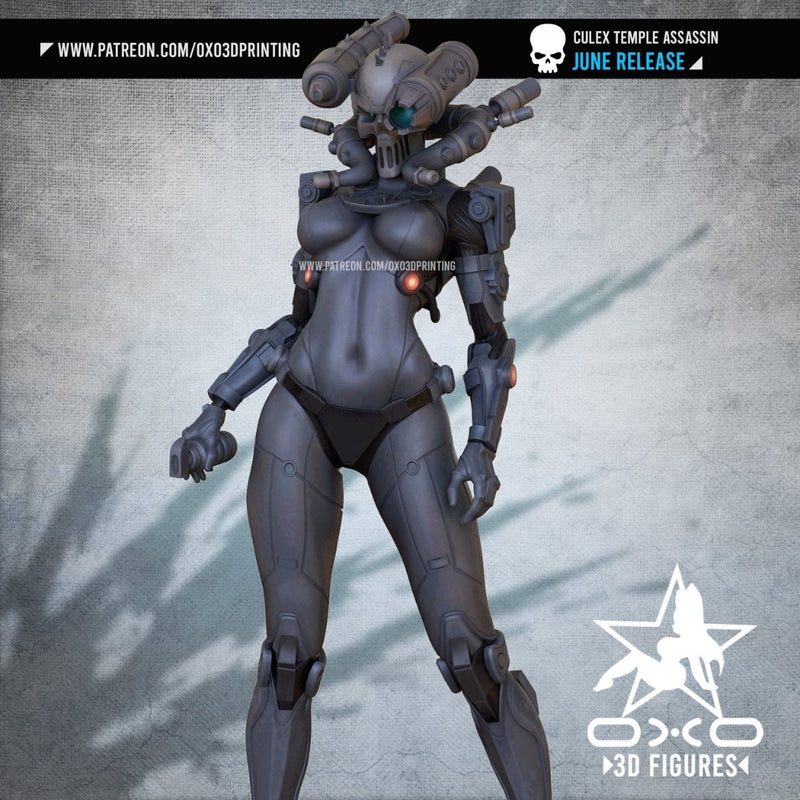 Culex - Lovemace - (SFW/NSFW 18+) 1:10 Scale