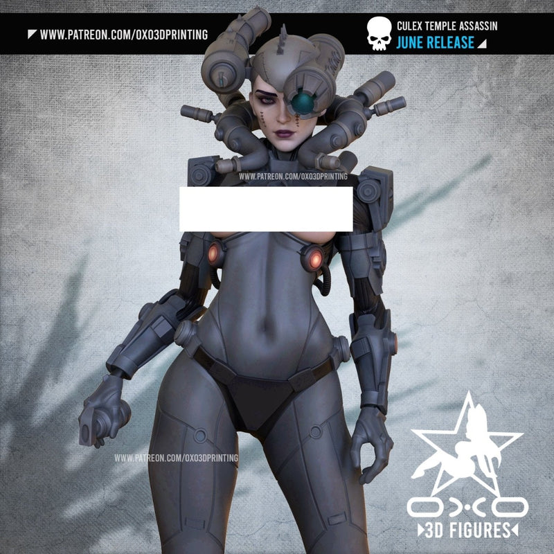 Culex - Lovemace - (SFW/NSFW 18+) 1:10 Scale