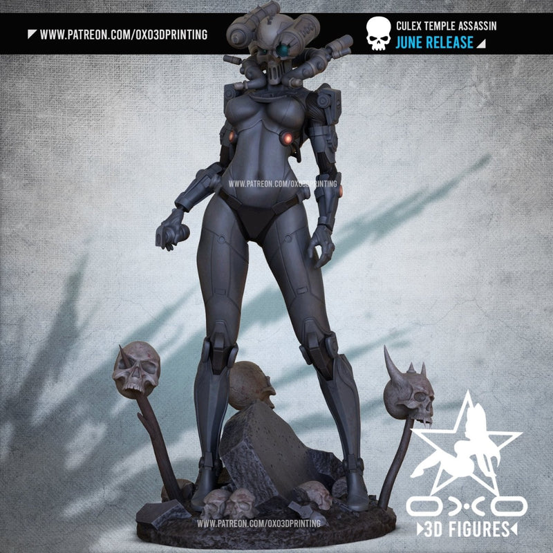 Culex - Lovemace - (SFW/NSFW 18+) 1:10 Scale