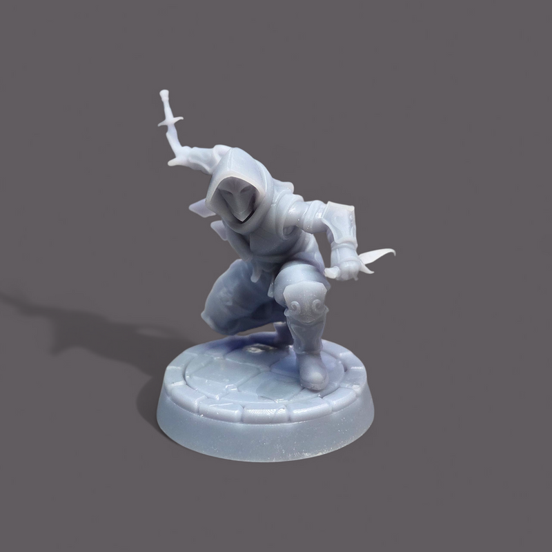 Masked Rogues Miniatures - Nightdagger Rogues