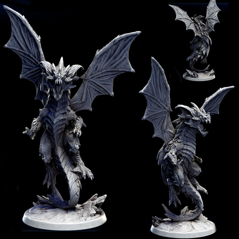 Young Blue Dragon