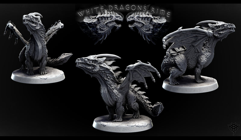 Young White Dragon